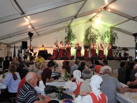 2. festival Kamrica – Dan slovenske narodne pesmi 37